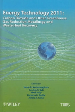 Kniha Energy Technology 2011 Neale R. Neelameggham