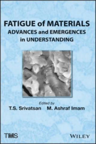 Kniha Fatigue of Materials R. Srinivasan