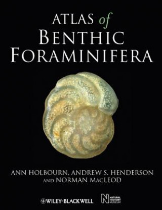 Kniha Atlas of Benthic Foraminifera Ann Holbourn