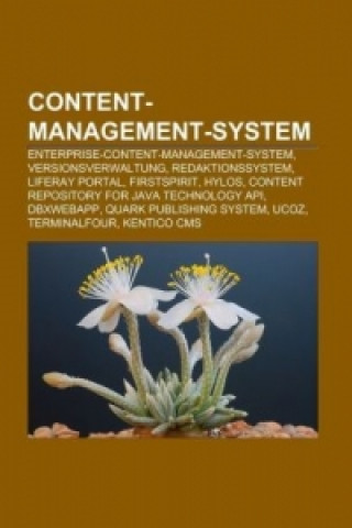 Könyv Content-Management-System 