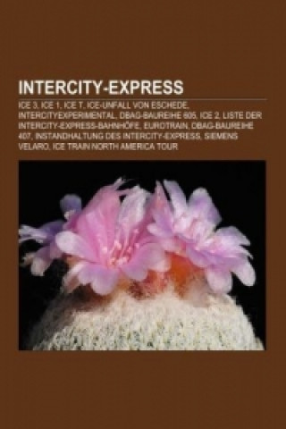 Kniha Intercity-Express 