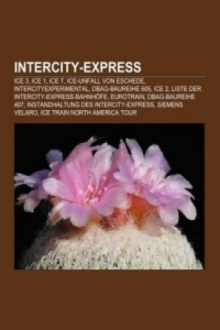 Livre Intercity-Express 