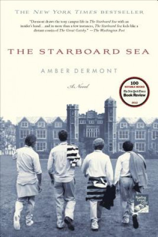 Kniha Starboard Sea Amber Dermont