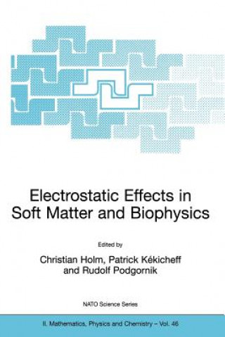 Kniha Electrostatic Effects in Soft Matter and Biophysics Christian Holm