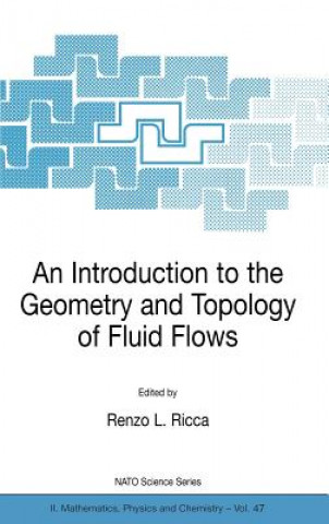 Könyv Introduction to the Geometry and Topology of Fluid Flows Renzo L. Ricca