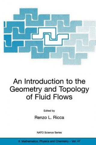 Könyv Introduction to the Geometry and Topology of Fluid Flows Renzo L. Ricca