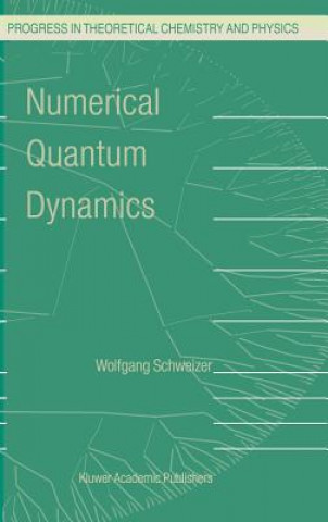 Książka Numerical Quantum Dynamics W. Schweizer