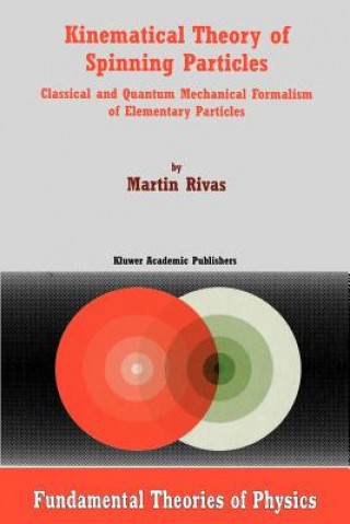 Könyv Kinematical Theory of Spinning Particles M. Rivas