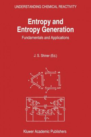 Kniha Entropy and Entropy Generation J.S. Shiner