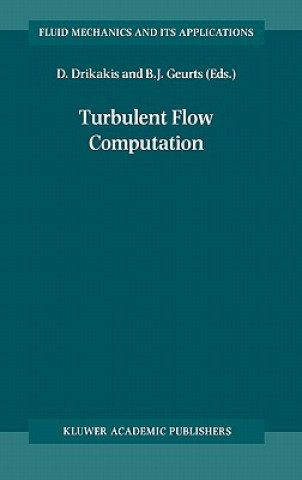 Knjiga Turbulent Flow Computation D. Drikakis