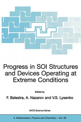 Könyv Progress in SOI Structures and Devices Operating at Extreme Conditions Francis Balestra