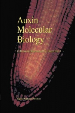 Книга Auxin Molecular Biology Cathérine Perrot-Rechenmann