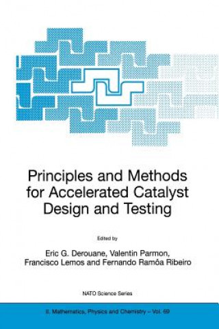Könyv Principles and Methods for Accelerated Catalyst Design and Testing E.G. Derouane