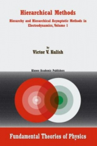 Kniha Hierarchical Methods V. Kulish