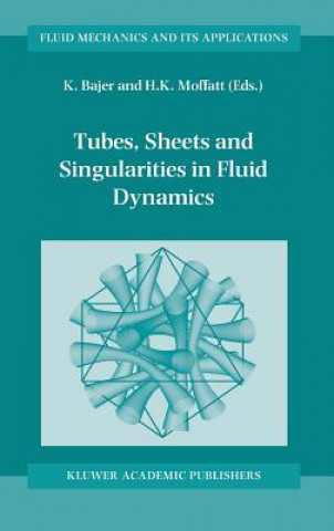 Book Tubes, Sheets and Singularities in Fluid Dynamics K. Bajer