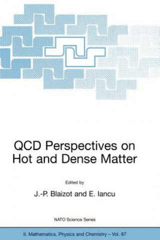 Book QCD Perspectives on Hot and Dense Matter Jean-Paul Blaizot