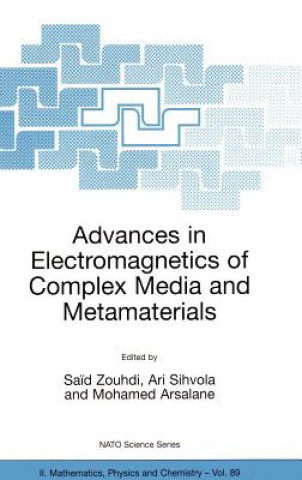 Könyv Advances in Electromagnetics of Complex Media and Metamaterials Sa