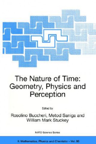 Könyv The Nature of Time: Geometry, Physics and Perception R. Buccheri