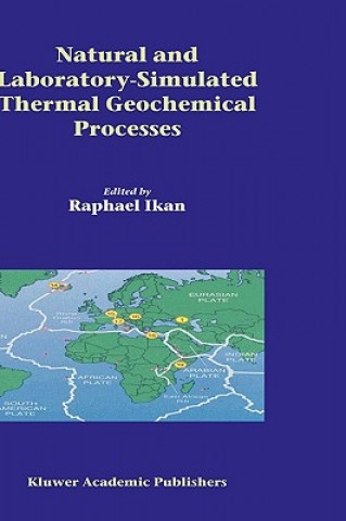 Book Natural and Laboratory Simulated Thermal Geochemical Processes Raphael Ikan