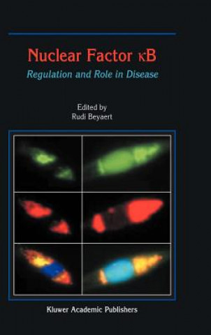 Buch Nuclear Factor  B R. Beyaert