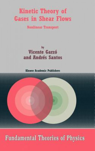 Kniha Kinetic Theory of Gases in Shear Flows Vicente Garzó