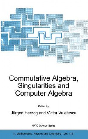 Kniha Commutative Algebra, Singularities and Computer Algebra Jürgen Herzog