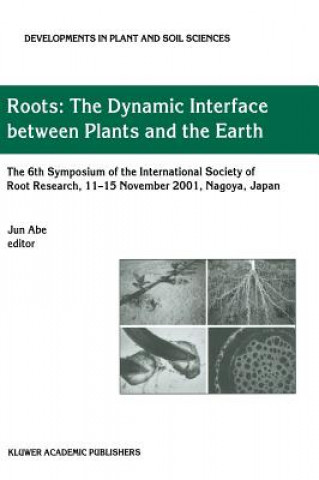 Libro Roots Jun J. Abe