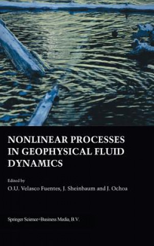Könyv Nonlinear Processes in Geophysical Fluid Dynamics O. U. Velasco Fuentes