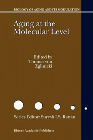 Livre Aging at the Molecular Level Thomas von Zglinicki