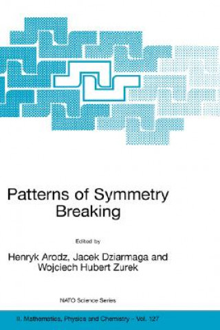 Książka Patterns of Symmetry Breaking Henryk Arodz