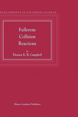 Kniha Fullerene Collision Reactions Eleonor E. Campbell