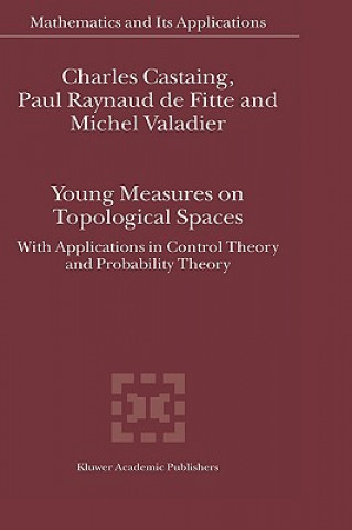 Kniha Young Measures on Topological Spaces Charles Castaing