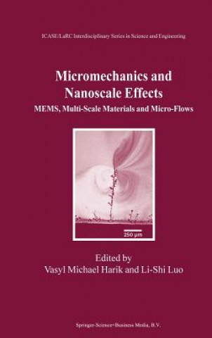 Kniha Micromechanics and Nanoscale Effects Vasyl Michael Harik