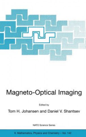 Könyv Magneto-Optical Imaging Tom H. Johansen