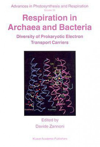 Książka Respiration in Archaea and Bacteria Davide Zannoni