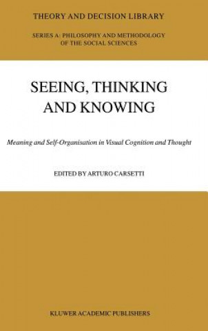 Knjiga Seeing, Thinking and Knowing A. Carsetti