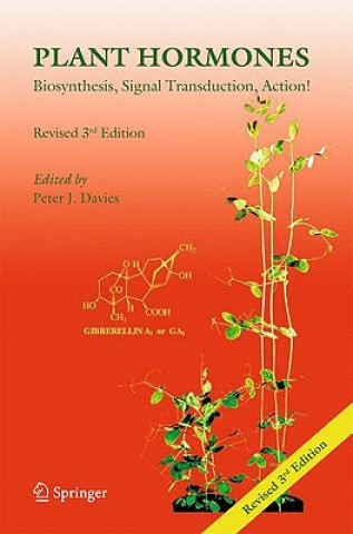 Könyv Plant Hormones Peter J. Davies