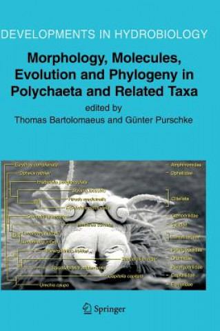 Könyv Morphology, Molecules, Evolution and Phylogeny in Polychaeta and Related Taxa T. Bartolomaeus