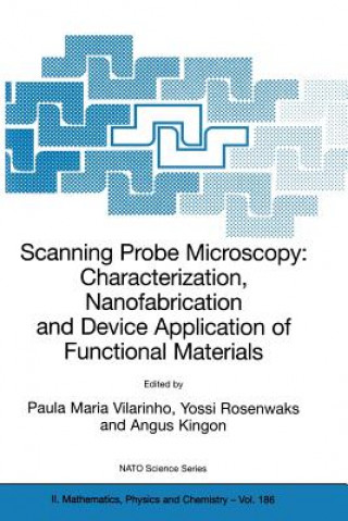 Kniha Scanning Probe Microscopy: Characterization, Nanofabrication and Device Application of Functional Materials Paula M. Vilarinho