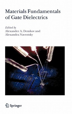 Könyv Materials Fundamentals of Gate Dielectrics Alexander A. Demkov