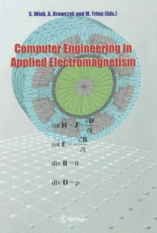 Carte Computer Engineering in Applied Electromagnetism Slawomir Wiak
