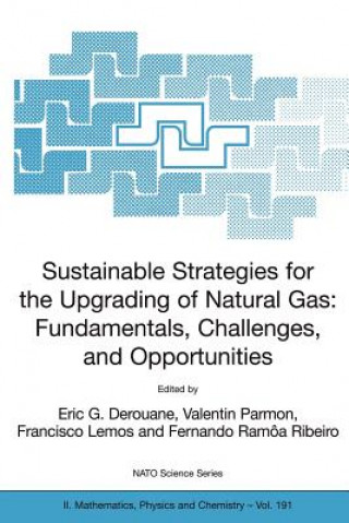 Kniha Sustainable Strategies for the Upgrading of Natural Gas: Fundamentals, Challenges, and Opportunities E. G. Derouane