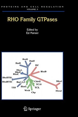 Könyv Rho Family GTPases Edward J. Manser
