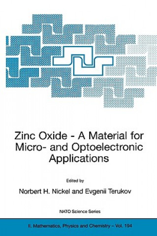 Kniha Zinc Oxide - A Material for Micro- and Optoelectronic Applications Norbert H. Nickel