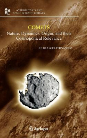 Buch Comets Julio A. Fernandez