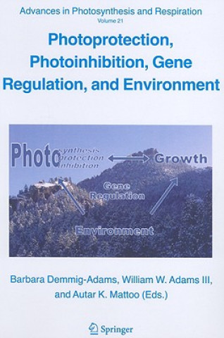 Könyv Photoprotection, Photoinhibition, Gene Regulation, and Environment B. Demmig- Adams