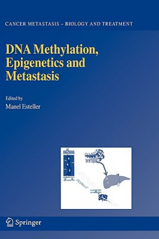 Könyv DNA Methylation, Epigenetics and Metastasis M. Esteller