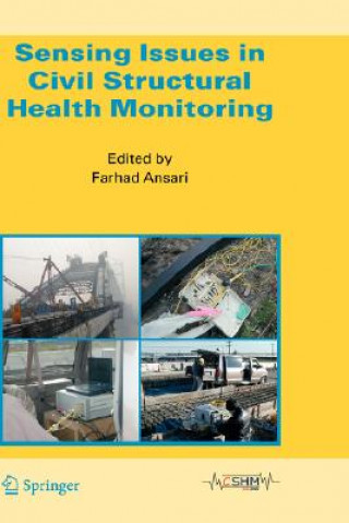 Knjiga Sensing Issues in Civil Structural Health Monitoring F. Ansari