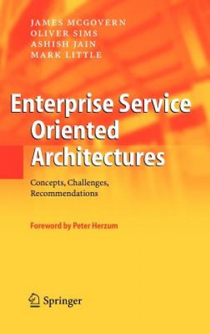 Kniha Enterprise Service Oriented Architectures James McGovern