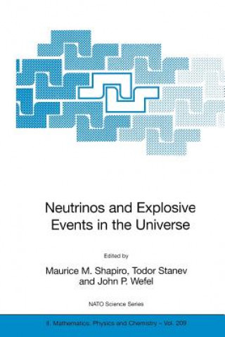Könyv Neutrinos and Explosive Events in the Universe M. M. Shapiro